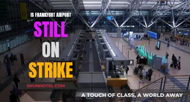 Frankfurt Airport Strike: Ongoing Travel Chaos