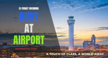 Friday Morning Rush: Airports Busy from 8 to 10 AM