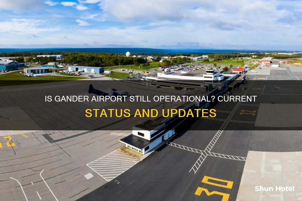 is gander airport still open