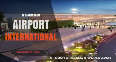 Is Gannavaram Airport International? Exploring Its Status and Facilities