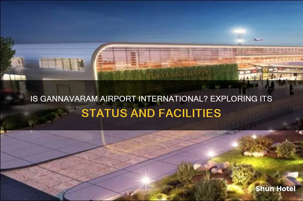 is gannavaram airport international