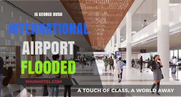 Is George Bush International Airport Flooded? Current Status and Updates