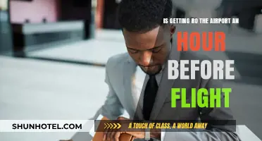 Is Arriving at the Airport an Hour Early Enough for Your Flight?