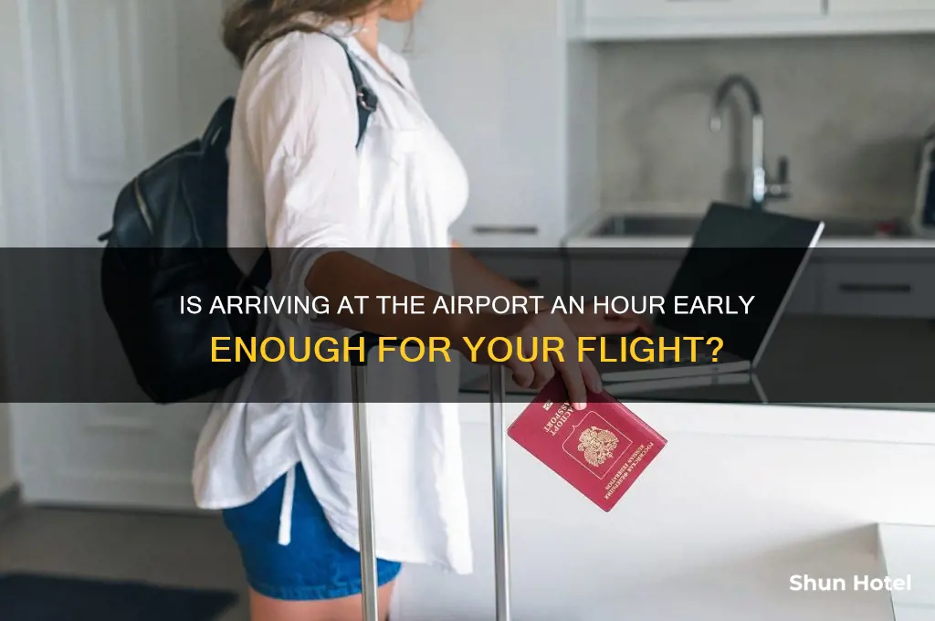 is getting ro the airport an hour before flight