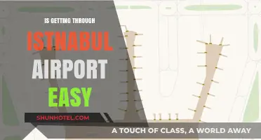 Navigating Istanbul Airport: A Stress-Free Travel Experience or Challenge?