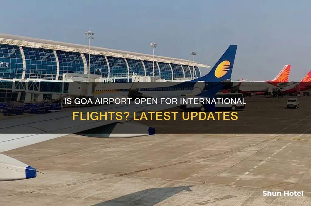 is goa airport open for international flights