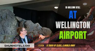 Gollum's New Home: Wellington Airport's Famous Statue