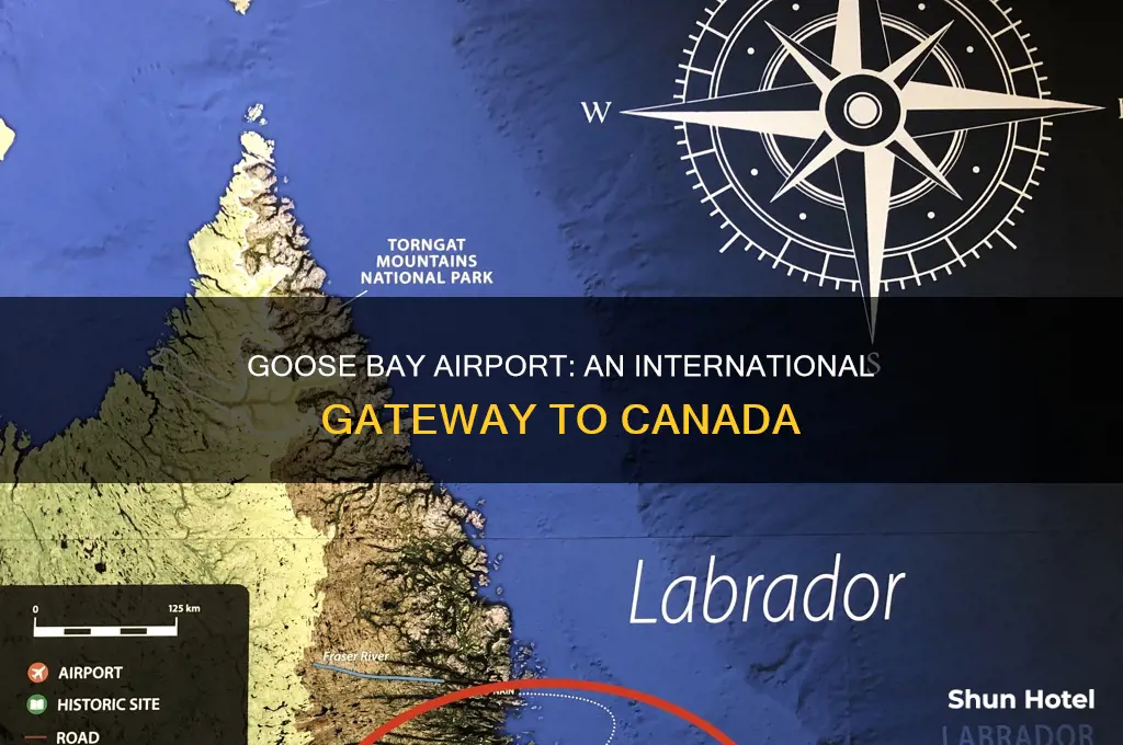 is goose bay canada a n airport of entry