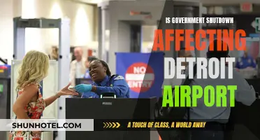 Detroit Airport: Impact of Government Shutdown?