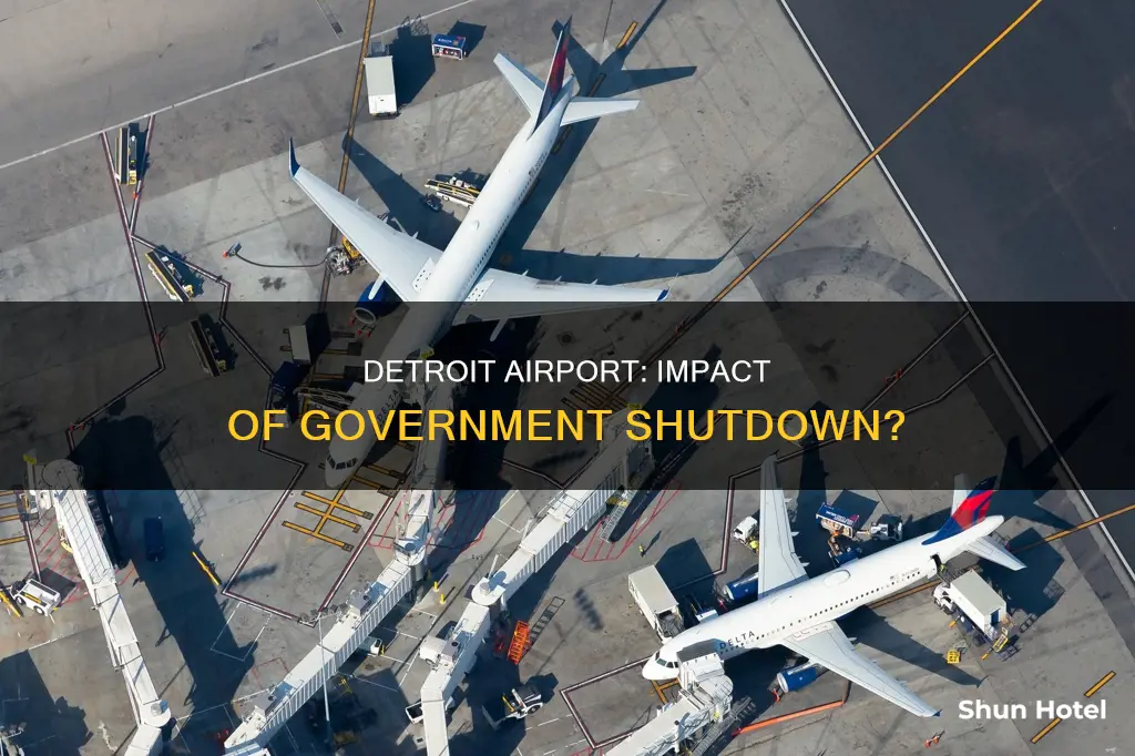 is government shutdown affecting detroit airport