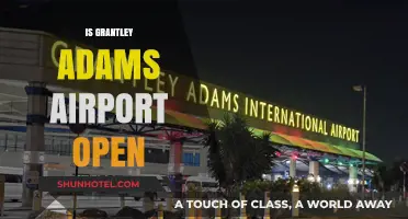 Is Grantley Adams Airport Open? Current Status and Updates