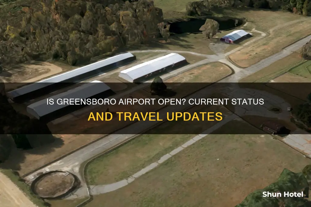 is greensboro airport open