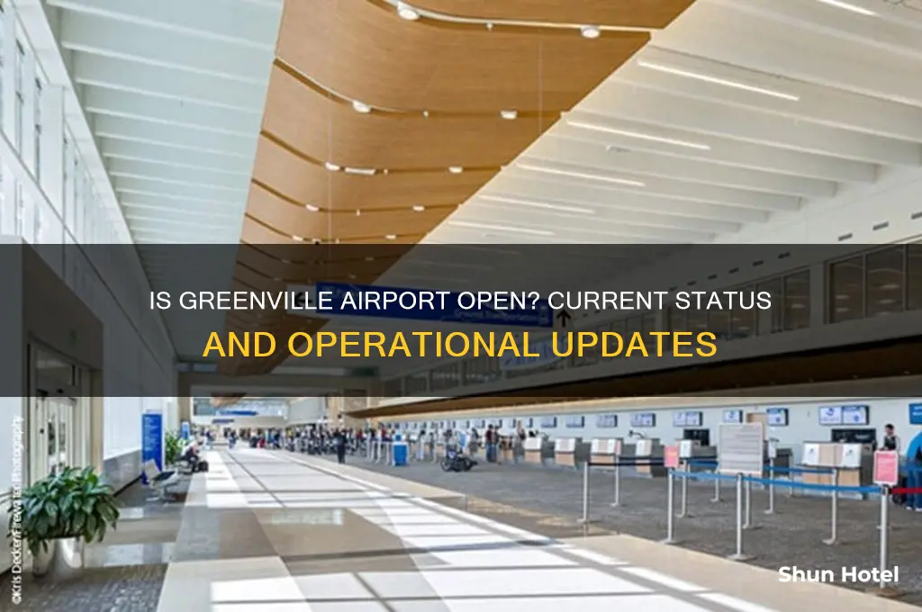 is greenville airport open