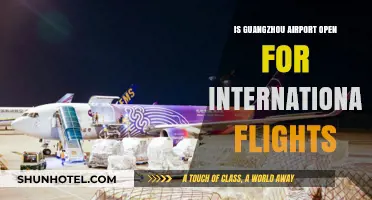Guangzhou Airport International Flights: Current Status and Updates