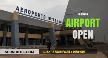 Is Guinea Airport Open? Current Status and Travel Updates