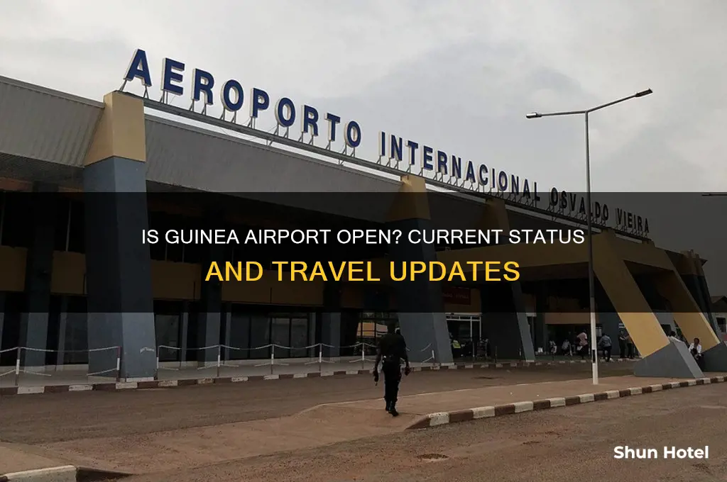 is guinea airport open