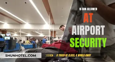 Airport Security: Can Guns Get Through?