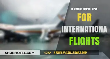 Is Guyana Airport Open for International Flights? Latest Updates