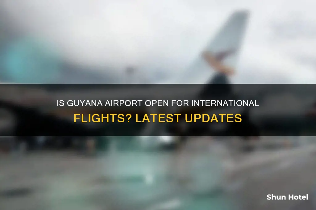 is guyana airport open for international flights