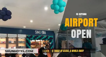 Is Guyana Airport Open? Current Status and Travel Updates