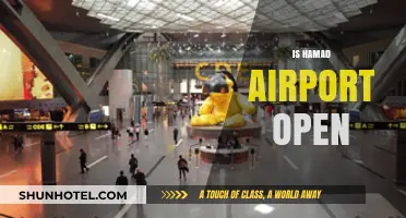 Is Hamad Airport Open? Latest Updates and Operational Status