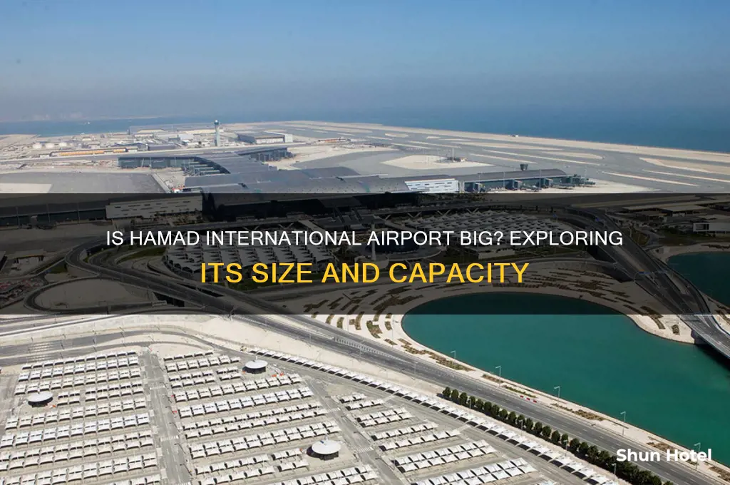 is hamad international airport big