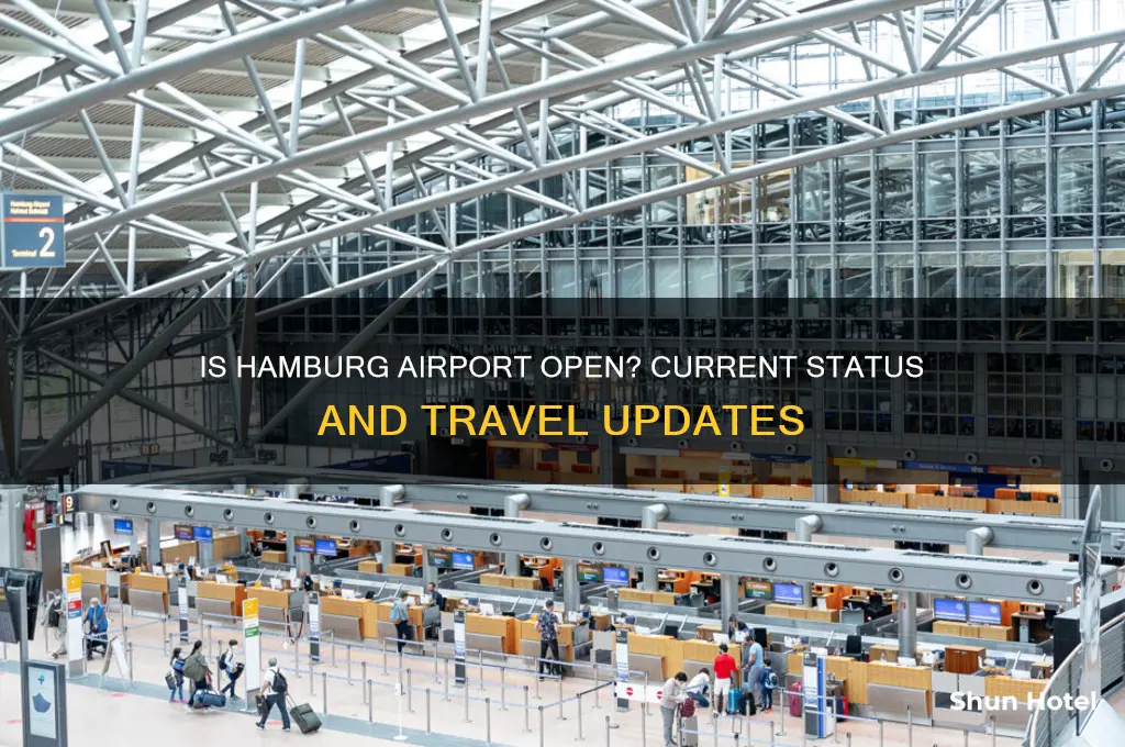 is hamburg airport open