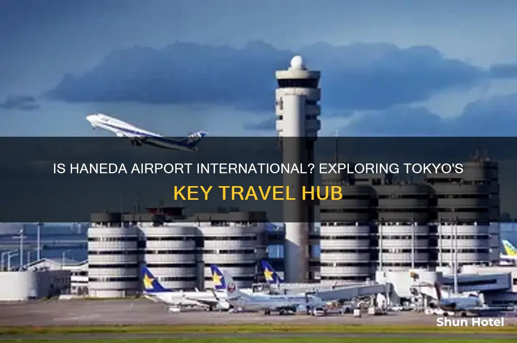 is haneda airport international