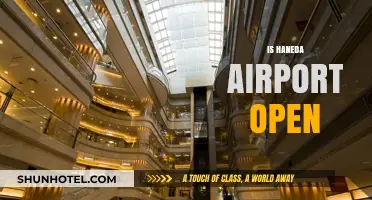 Is Haneda Airport Open? Current Status and Travel Updates