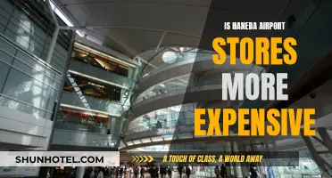 Haneda Airport Stores: Are They Overpriced?