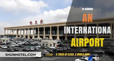 Is Harbin International Airport Truly Global? Exploring Its Status and Reach