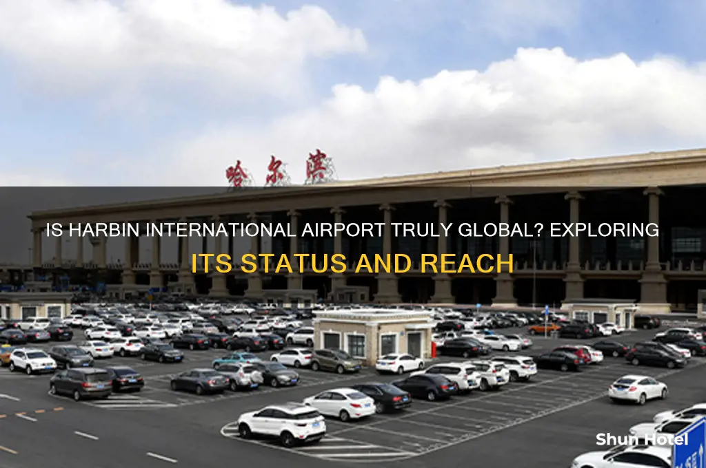 is harbin an international airport
