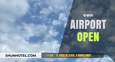 Is Hatay Airport Open? Current Status and Travel Updates