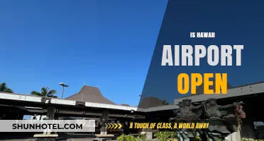 Is Hawaii Airport Open? Current Status and Travel Updates