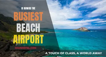 Hawaii's Beach Airport: Paradise or Chaos?