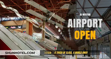 Is Hector Airport Open? Current Status and Operational Updates