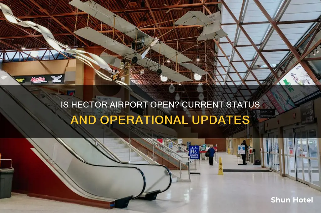 is hector airport open