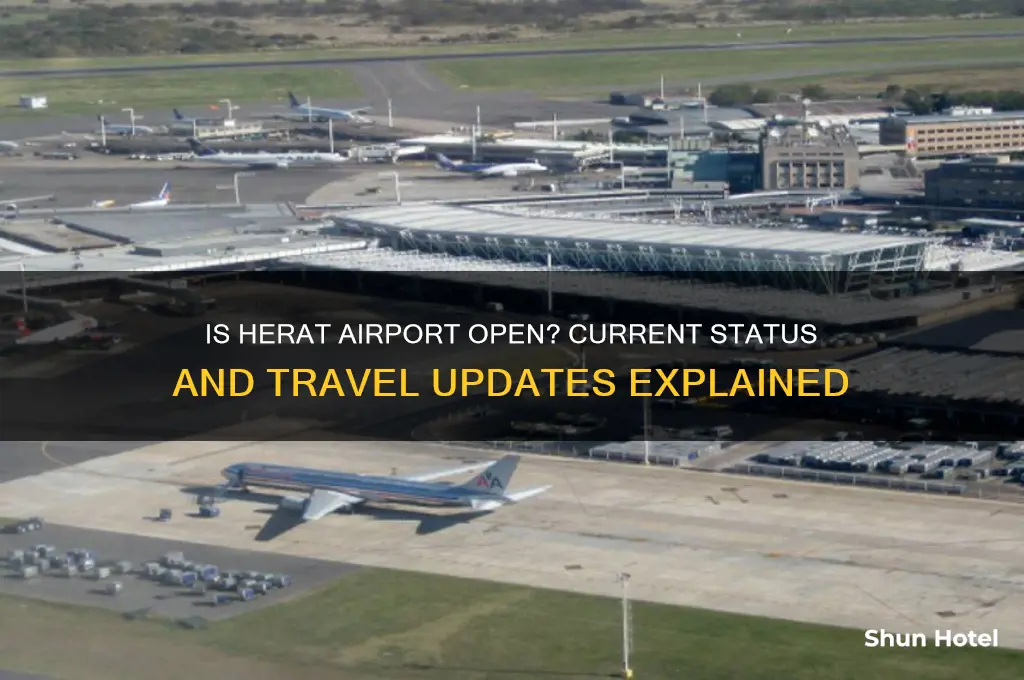 is herat airport open