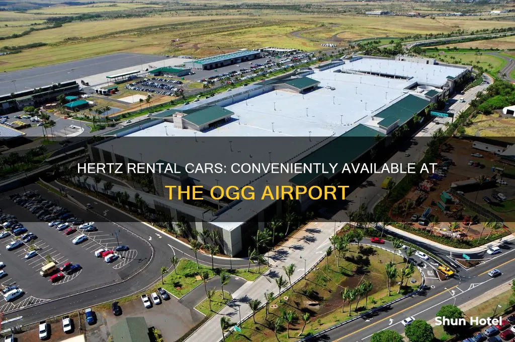 is hertz in the ogg airport