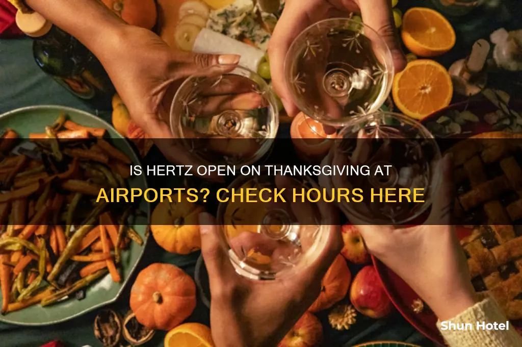is hertz open on thanksgiving at airports