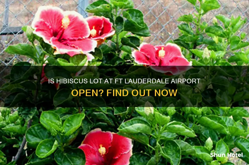 is hibiscus lot at ft lauderdale airport open