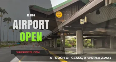 Is Hilo Airport Open? Current Status and Travel Updates