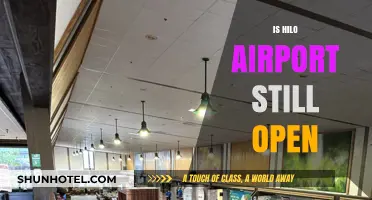 Is Hilo Airport Still Open? Current Status and Updates