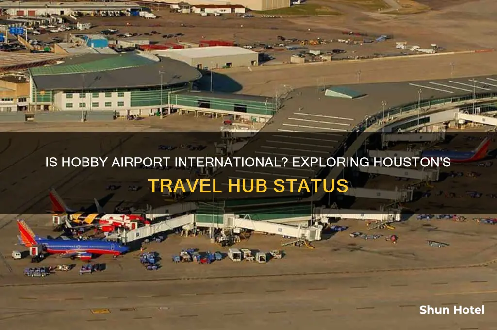 is hobby airport international