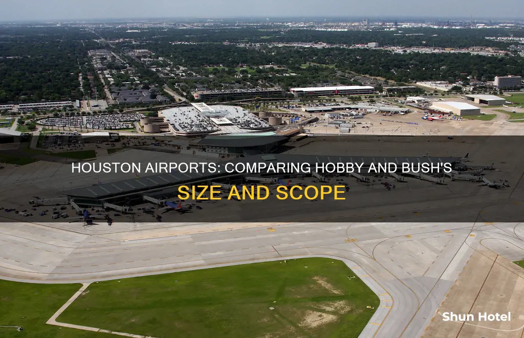 is hobby or bush airport bigger
