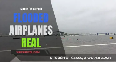 Houston Airport Flood: Are the Airplane Images Authentic?