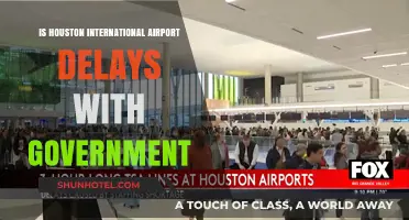 Houston International Airport Delays: Government Policies and Their Impact
