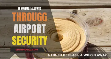 Hummus and Airport Security: What's Allowed?