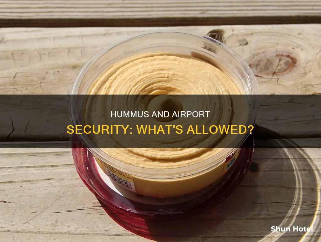 is hummus allowed througg airport security