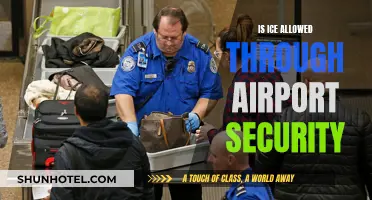 Airport Security: Can You Bring Ice?